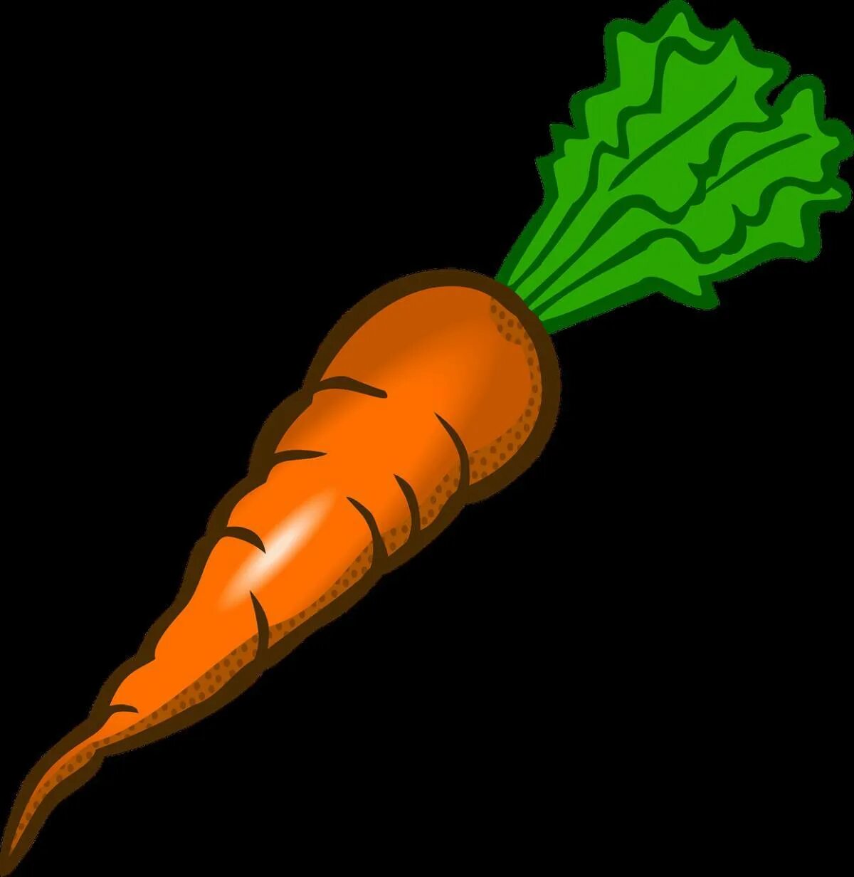 Морковка. Морковка на черном фоне. Морковь 1. Одна морковка. Включи морковочка
