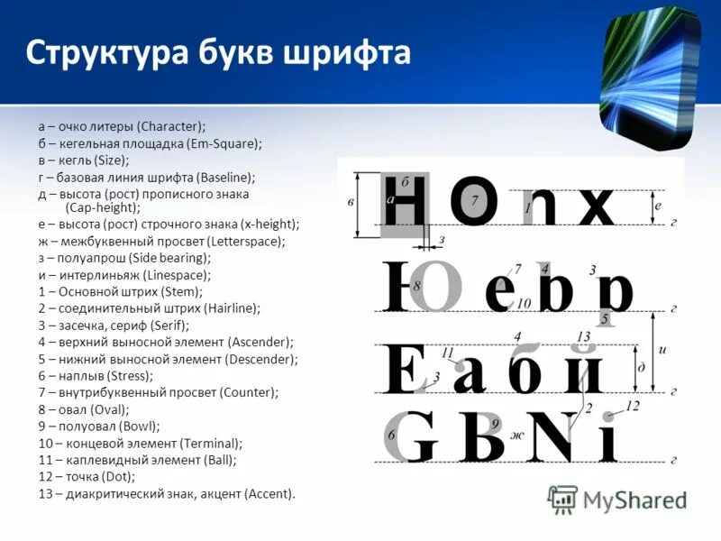 Элементы шрифта. Структура шрифта. Структура букв шрифта. Элементы строения шрифтов.