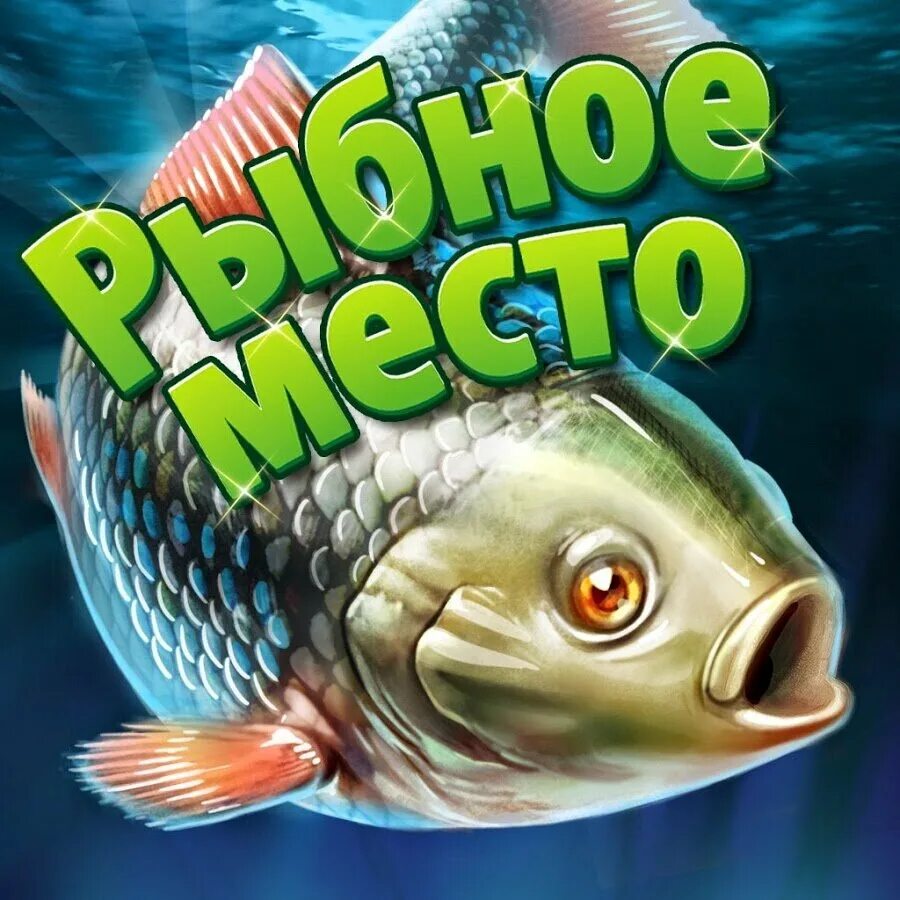 Реклама рыбы. Игра рыбалка рыбное место. Игра рыбалка рыбное место. Рыбное место 1 игра. Игра в одноклассниках рыбное место.