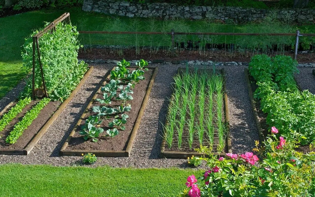 Какие овощи посадить в тени. Грядки перфекциониста. Красивый огород. Красивый огород на даче. Обустройство огорода.