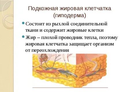 Подкожная хроническая клетчатка