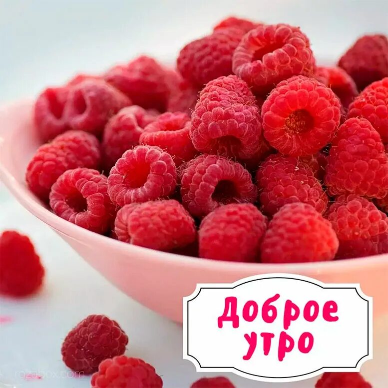 Доброе утро картинки красивые позитивные поднимающие. Сладкая ягода. с добрым утром. доброе утро картинки. с добрым утром картинки красивые.