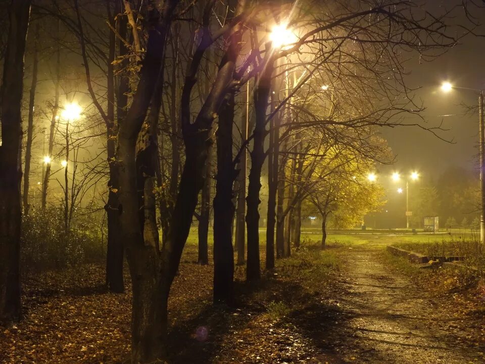 Ясный вечер. Майкоп ночной парк. Ночная Гатчина осенью. Филевский парк ночью. Ночной Ставрополь осень.