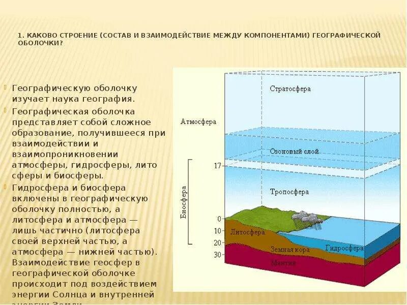 Связь биосферы с гидросферой. Взаимосвязь биосферы и гидросферы. Схема строения географической оболочки. Географическая оболочка земли схема. Биосфера строение оболочки.