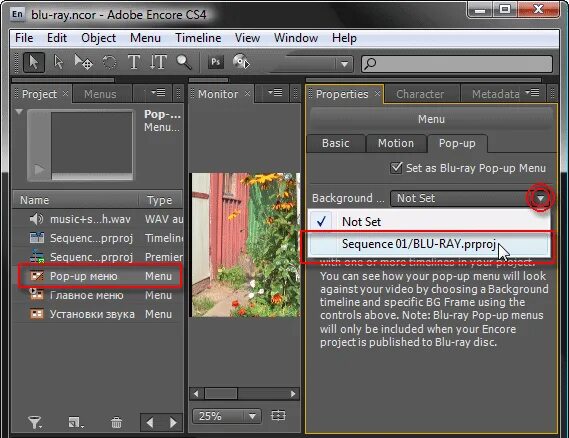 Adobe encore. Adobe encore