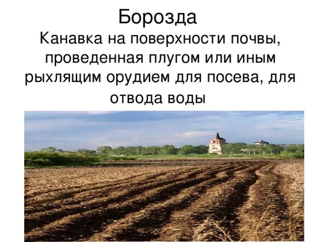 Борозда осенью. Sulci cerebri. Праздник первой борозды плакат. Унчукатль праздник первой борозды. Борозда 1.