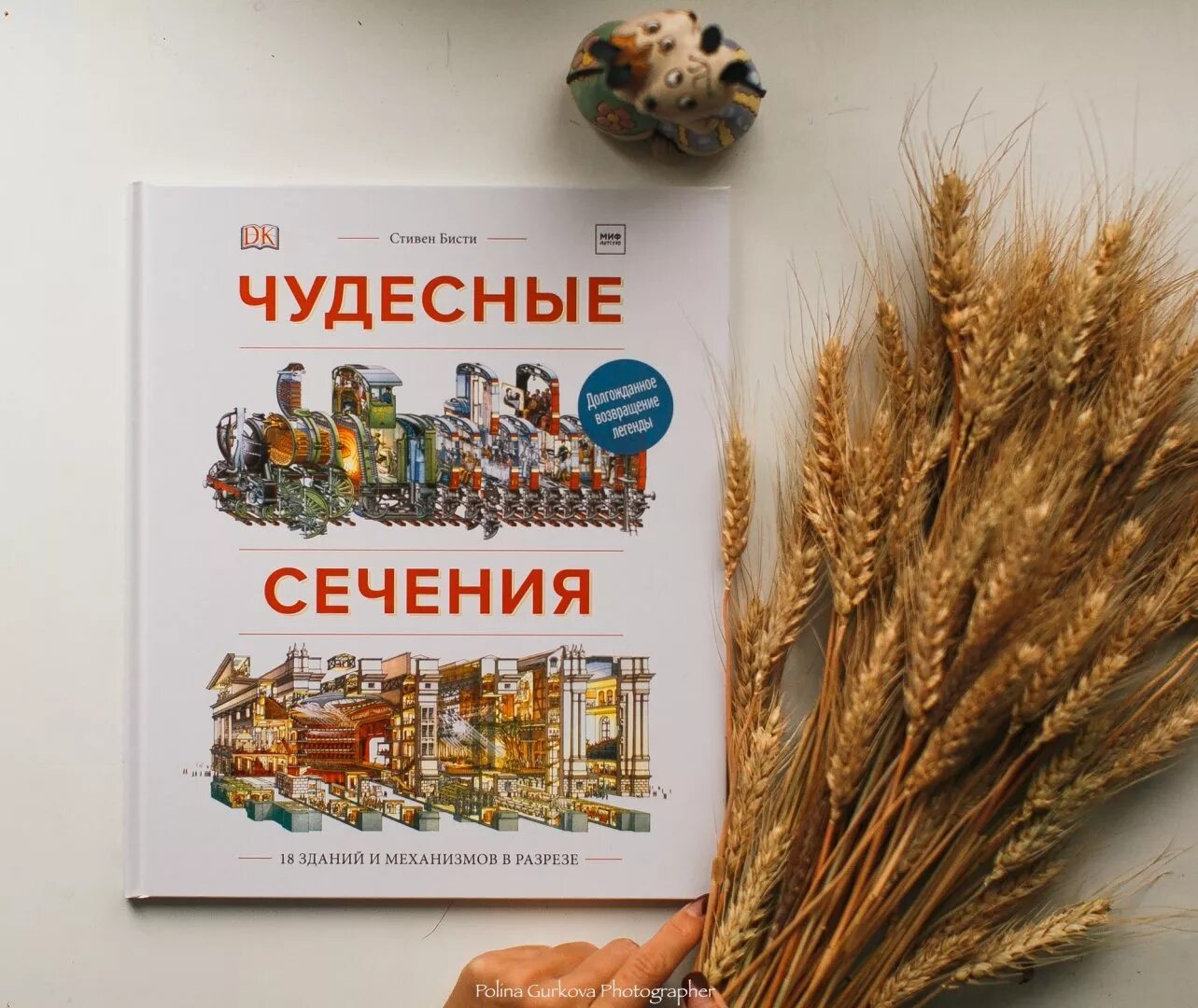 Чудесные сечения книга купить. Бисти, Плэтт: чудесные сечения.