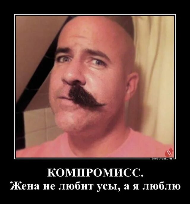 Люблю усатых