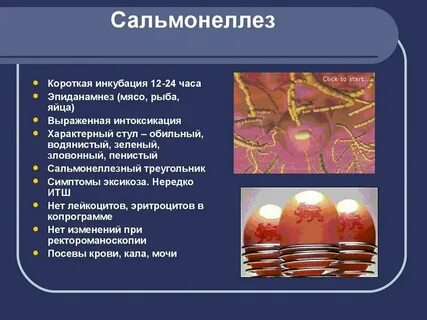 Клинические формы сальмонеллеза