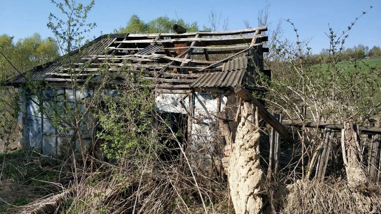 Деревни в курском районе. Деревня путчино фатежский район курская область. заброшенные деревни в курской области намедино. заброшенные деревни курской области дмитриевского района. село гаево фатежского района курской области.