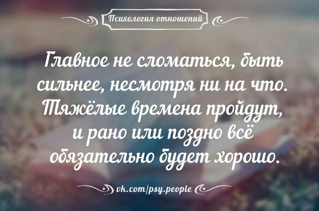 Честность и верность цитаты. Цитаты про верность и преданность. Психология отношений. Отношения цитаты высказывания. Верность и ум