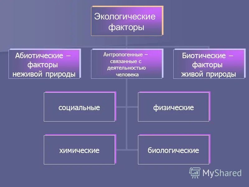 факторы неживой природы деятельность человека. факторы неживой природы факторы живой природы. абиотические факторы неживой природы примеры. объект менеджмента. факторы неживой природы деятельность человека.