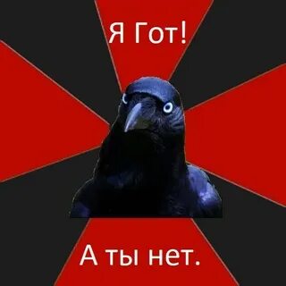 Raven meme