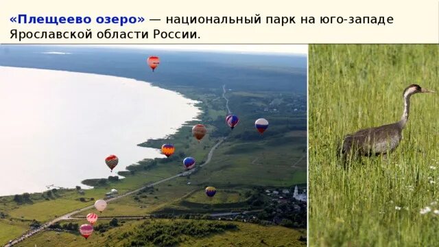 Плещеево озеро впр. Национальный парк Плещеево озеро Переславль Залесский. Нацпарк «Плещеево озеро». Национальный парк Плещеево озеро Переславль Залесский карта. Национальный парк Плещеево озеро Ярославской области.