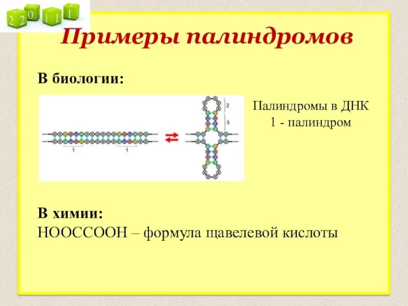 Палиндром в биологии примеры. Палиндромы ДНК. Палиндром в математике примеры. ДНК палиндром пример.