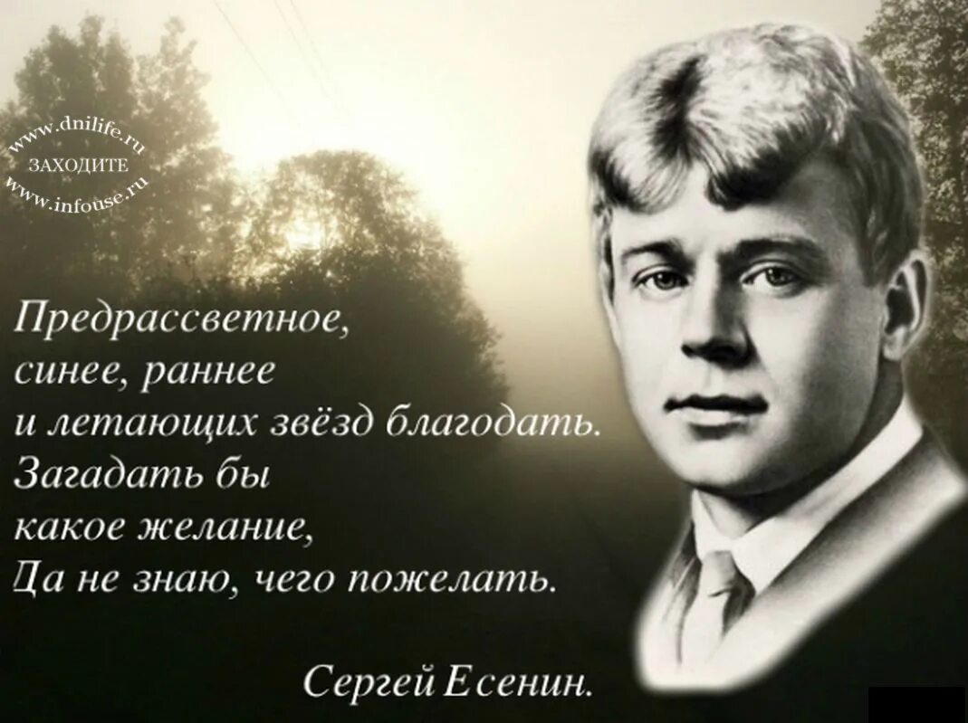 Высказывание поэтов о жизни. Хи Есенина.