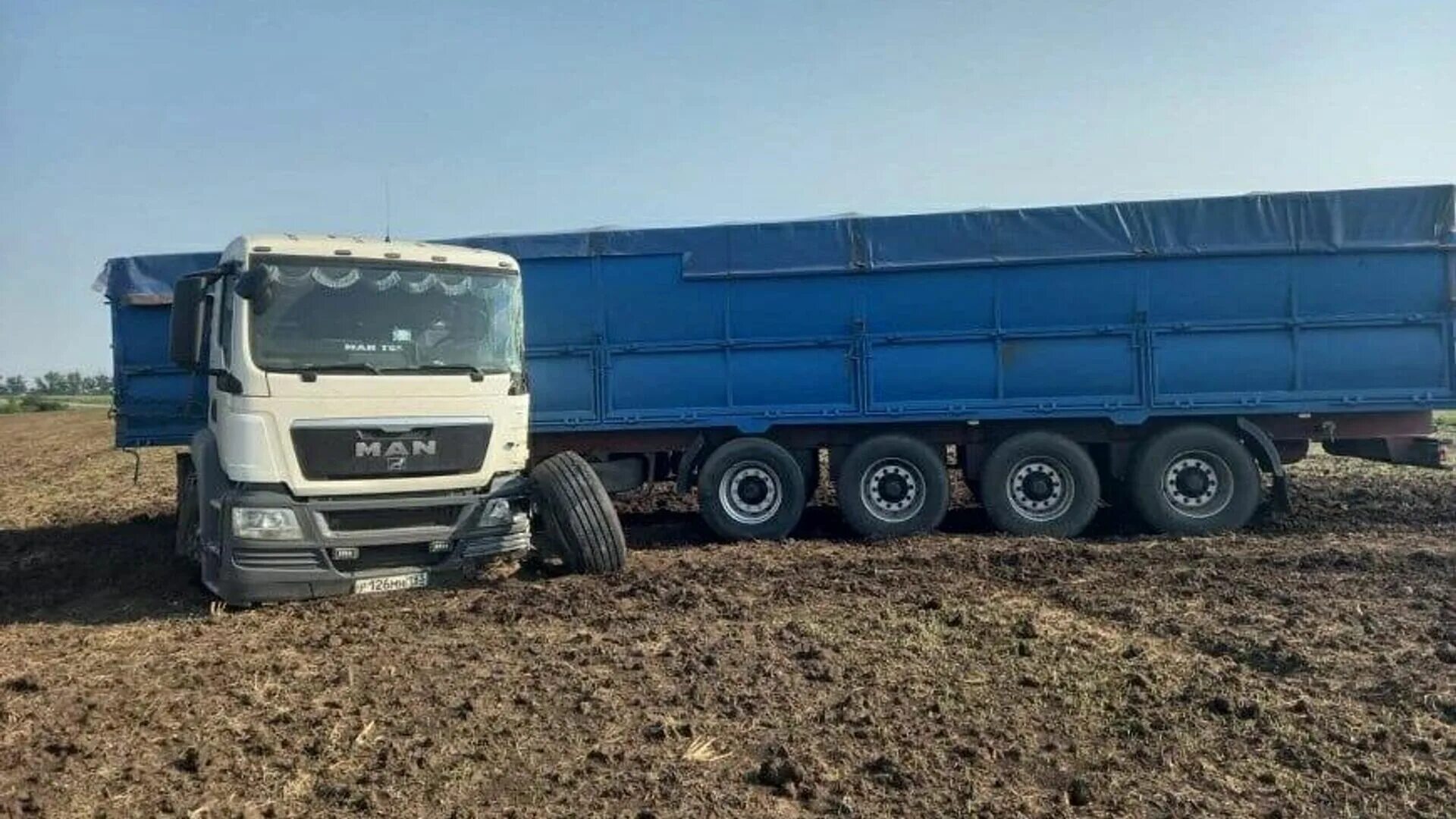 Ман зерновоз. Водитель зерновоз краснодар. Зерновозы кфх деревянко. Камаз 65116 с полуприцепом зерновоз. Зерновозы тамбовская область.