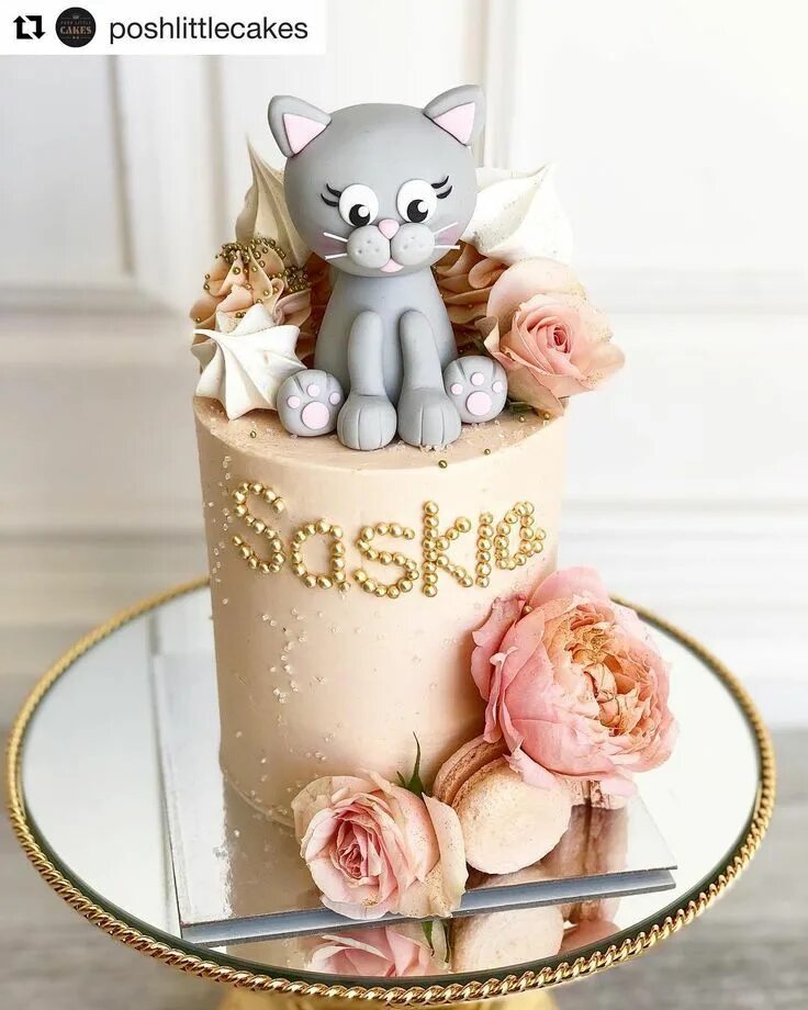 Pin on Cat & Kitten Cakes Cake, Animal cakes, Cat cake
