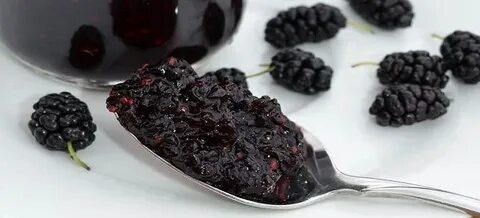 Что приготовить из тутовника черного