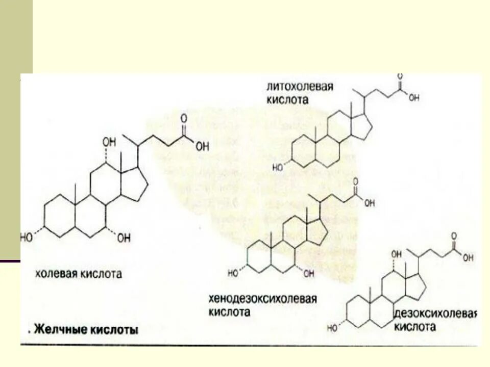 Формула холевой кислоты. Холевая кислота и таурин. Соли желчных кислот формула. Гликохолевая кислота. Гликохолевая кислота.