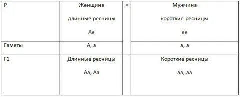 У человека ген длинных ресниц