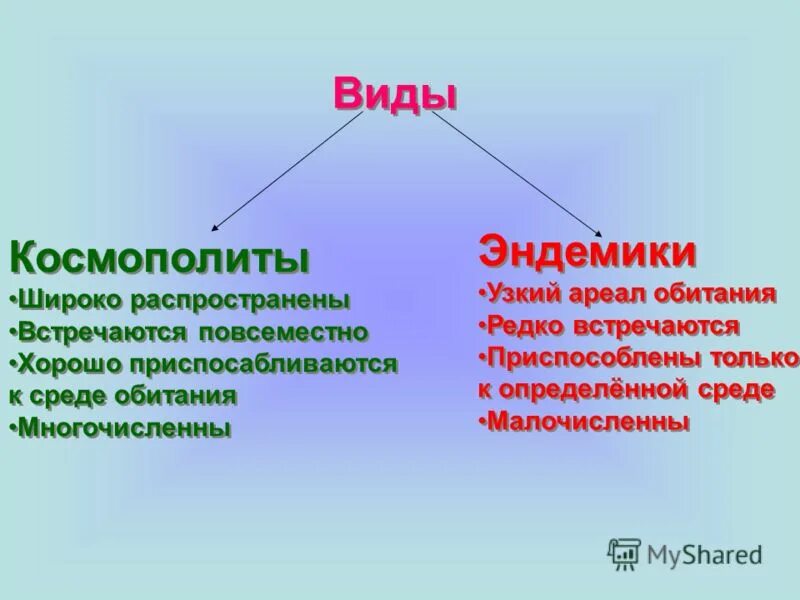 Космополитизм понятие. Космополитизм. Космополиты список. Космополиты это в экологии. Космополиты список.