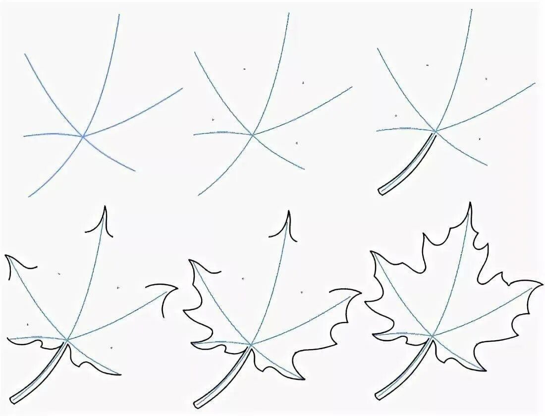Ф точка лист. Кленовый лист поэтапное рисование. Рисование на листьях клена. Лист клёна рисунок. Лист клена карандашом.