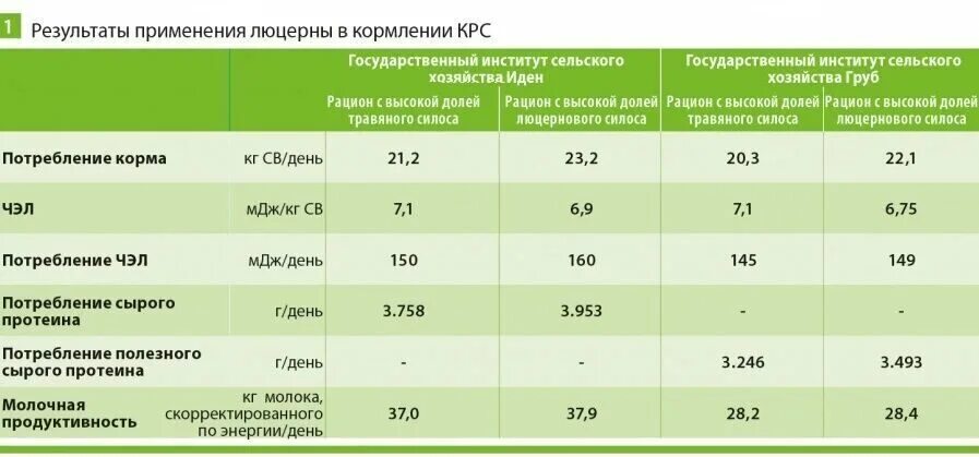 Можно давать корове сырой