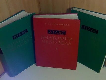 Атлас синельникова 3 тома