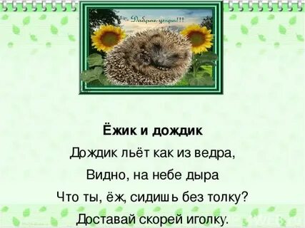 Песня льет дождь как из ведра
