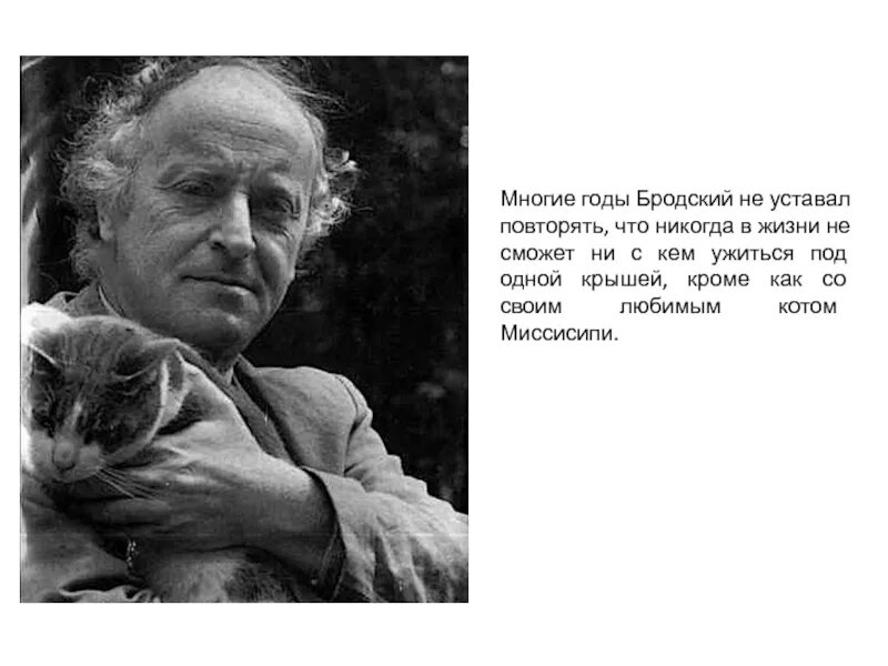 Если бы я не любил поэзию бродского. Иосиф Бродский. Иосиф Бродский и кот Миссисипи. Бродский писатель. Иосиф Бродский с котом.