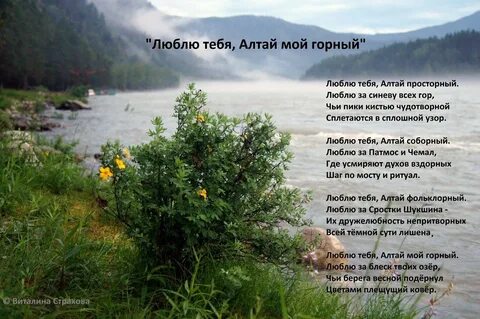 Люблю горы стихи