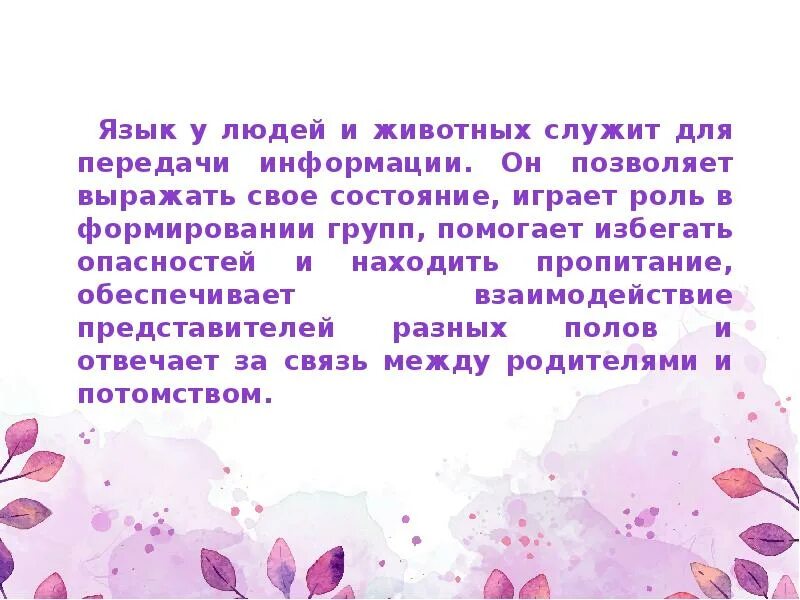 Чем речь человека отличается от звукового общения. Речь животных и человека. речь человека отличается от языка животных. отличие речи человека от речи животных. чем речь человека отличается от звукового общения животных.