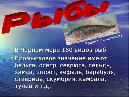 Моря имеющие промысловое значение