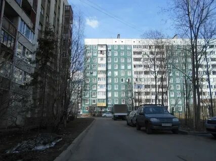 Новое девяткино ленинградская