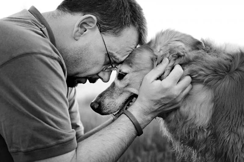 Животные друзья человека. Преданность собаки. Человек с животным. Собака друг человека. Прощание с хозяином