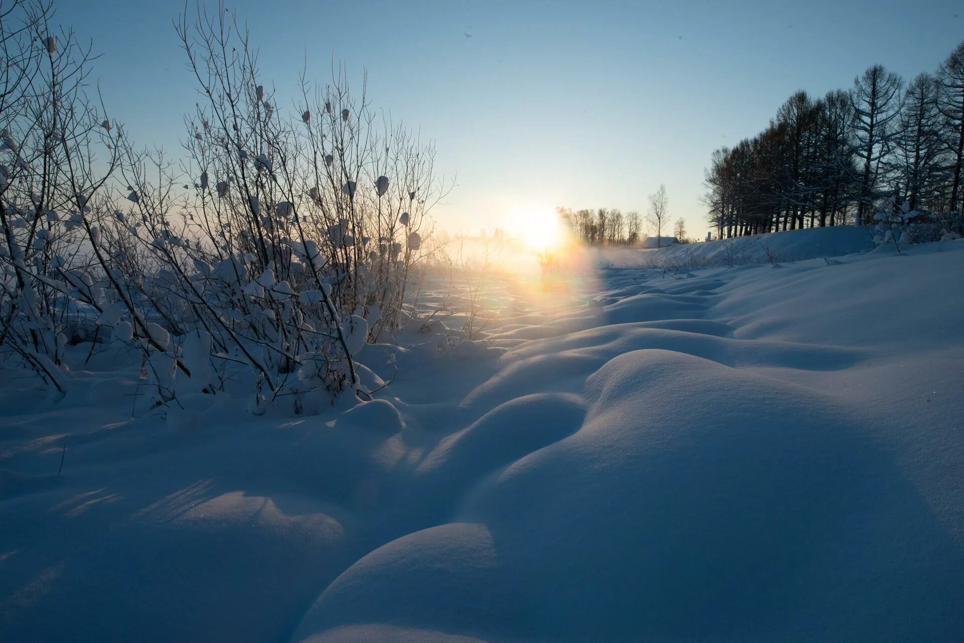 зима картинки. обложка зима. потепление зимой. зима приближается. грядущей зимой.