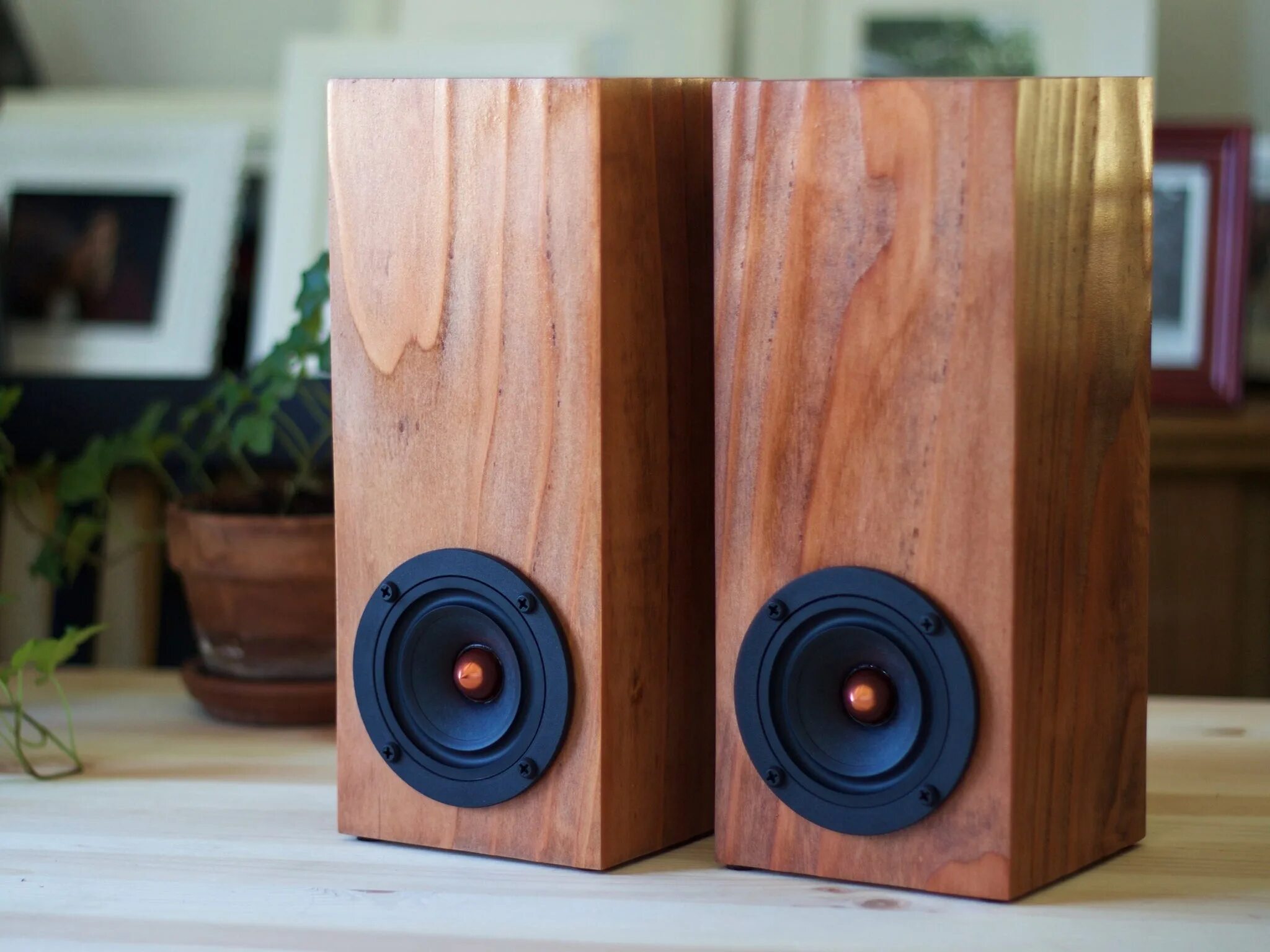 Звук колонки своими руками. Акустика aad m-8t Redwood. Wooden Speaker колонка. Visaton w200. Колонки из дерева.