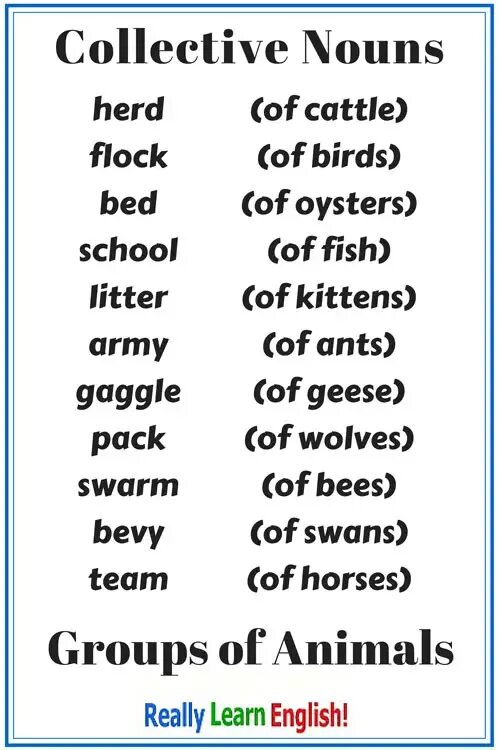 Collective Nouns в английском. Group Nouns в английском языке. Common Collective Nouns.