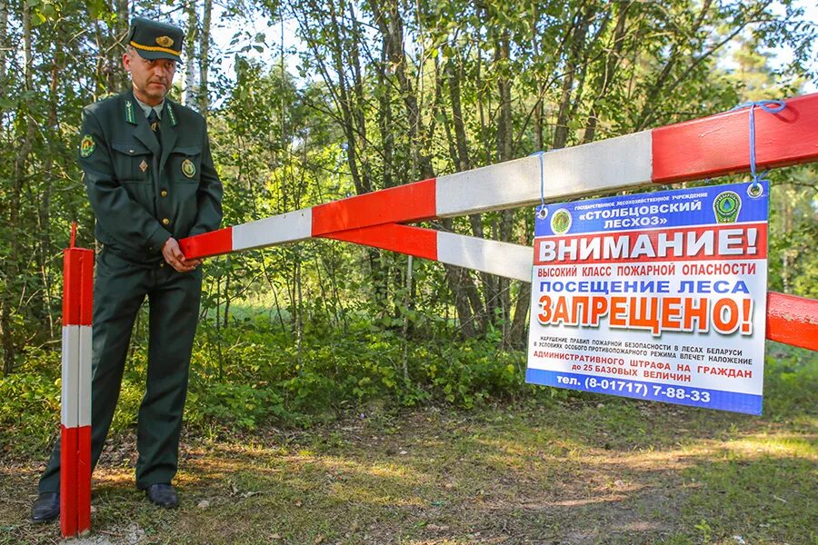 Запрет в лесах беларуси. Запрет на посещение лесов. Посещение лесов запрещено. Ограничение посещения лесов. Запрет на посещение лесов в Беларуси.