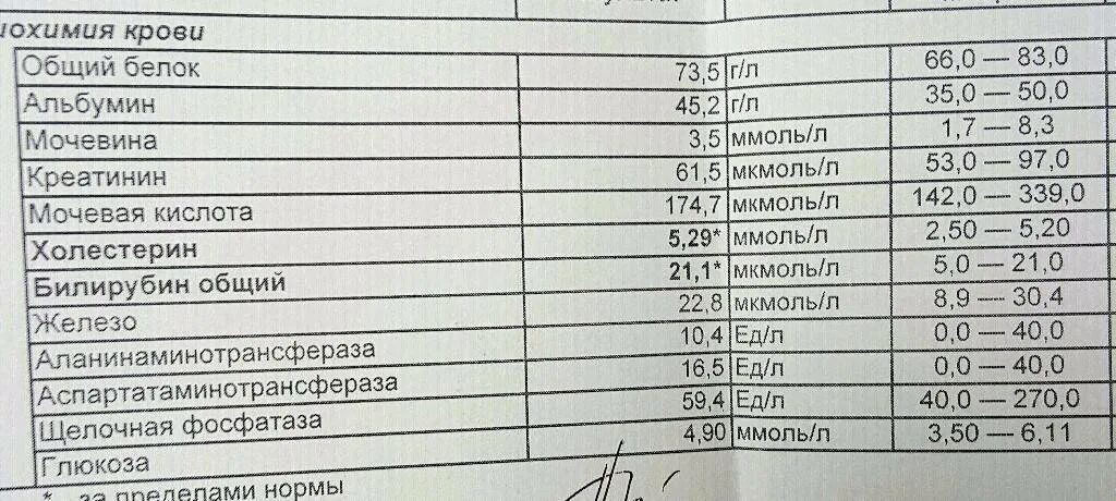 Нормы анализа крови норма общего белка. Норма общего белка в крови у женщин после 60. Нормальные показатели общего белка крови. Белок норма у женщин 40 лет. Норма общего белка в крови.