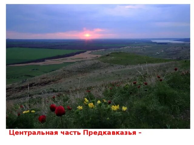 Ставропольская возвышенность климат. Равнины Предкавказья. Степи Предкавказья. Ставропольская возвышенность особенности.