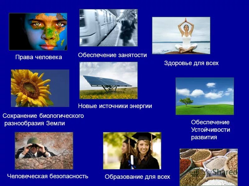 Международный день биологического разнообразия. Биологическое разнообразие. Международный день биоразнообразия. Сохранение биоразнообразия. 22 мая биологическое разнообразие.