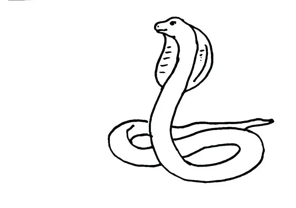 Простая змейка. Змея рисунок. Рисунок змеи легкий для срисовки. Змея карандашом. Змея карандашом для срисовки.