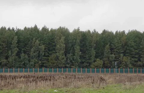 Елизарово первомайское поселение