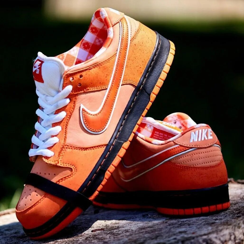 Найк лобстер. Nike SB Dunk Orange Lobster. Nike SB Dunk Orange. Nike Dunk Orange Lobster. Nike SB Dunk Low.