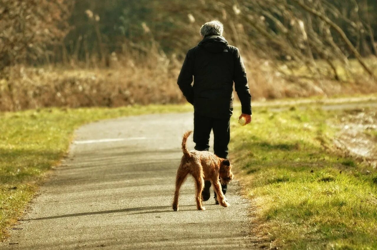 Человек гуляет с собакой. Прогулка с собакой. Мужчина гуляет с собакой. Одинокий человек с собакой.
