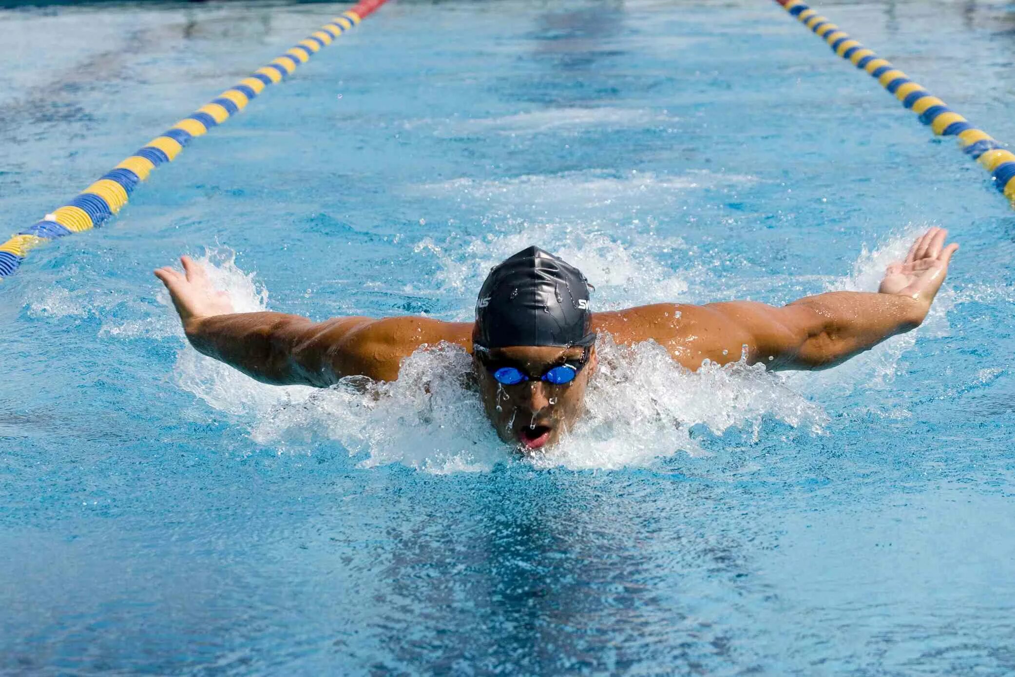 Swimming lv. Swimming lv. Вид плавания баттерфляй. Swimming lv. Стиль плавания баттерфляй.