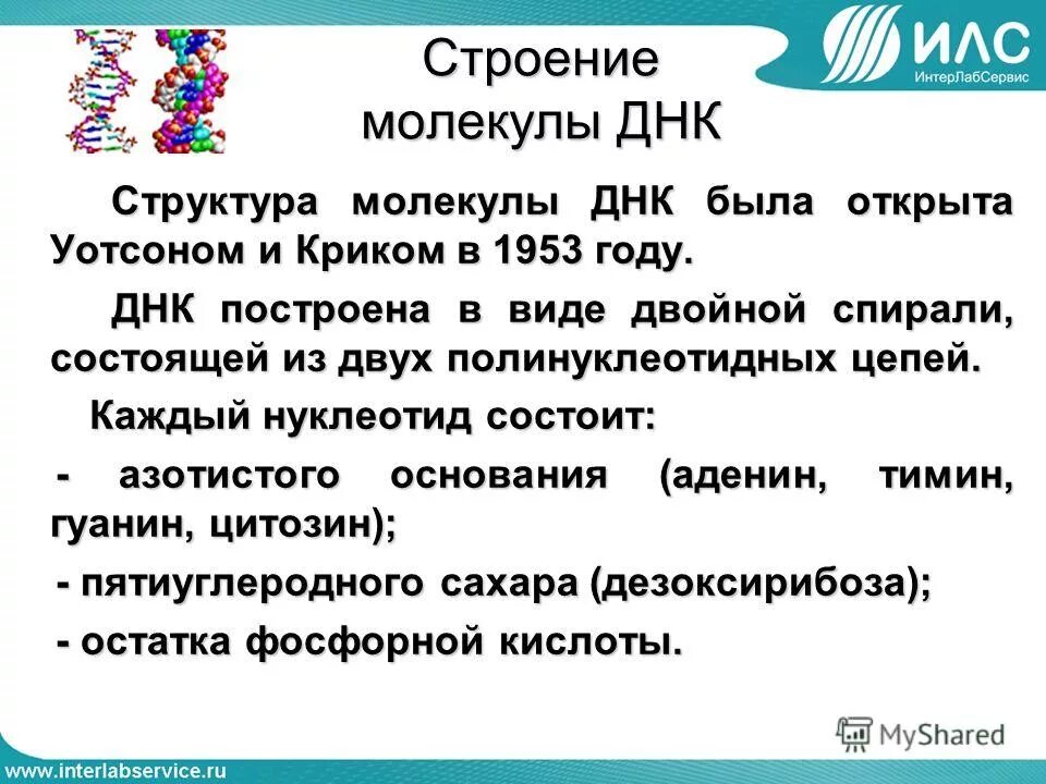 Болезнь синоним с не существительное