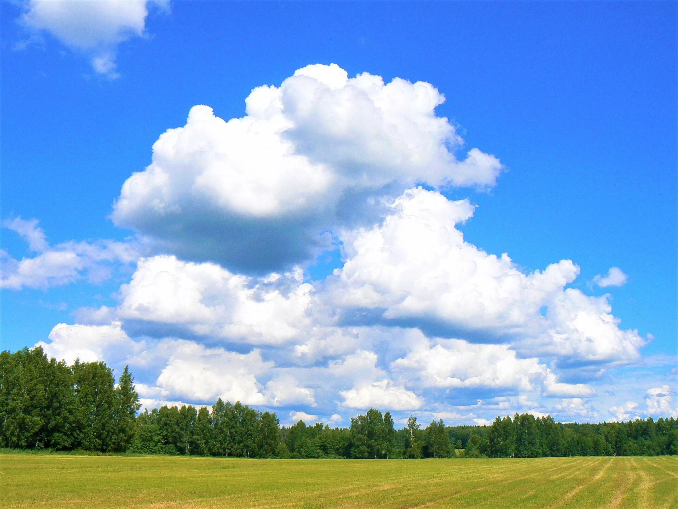 Ясное небо. Ясное небо фото. Фон небо горизонт. Кучевые облака пейзаж. Поле и голубое небо.